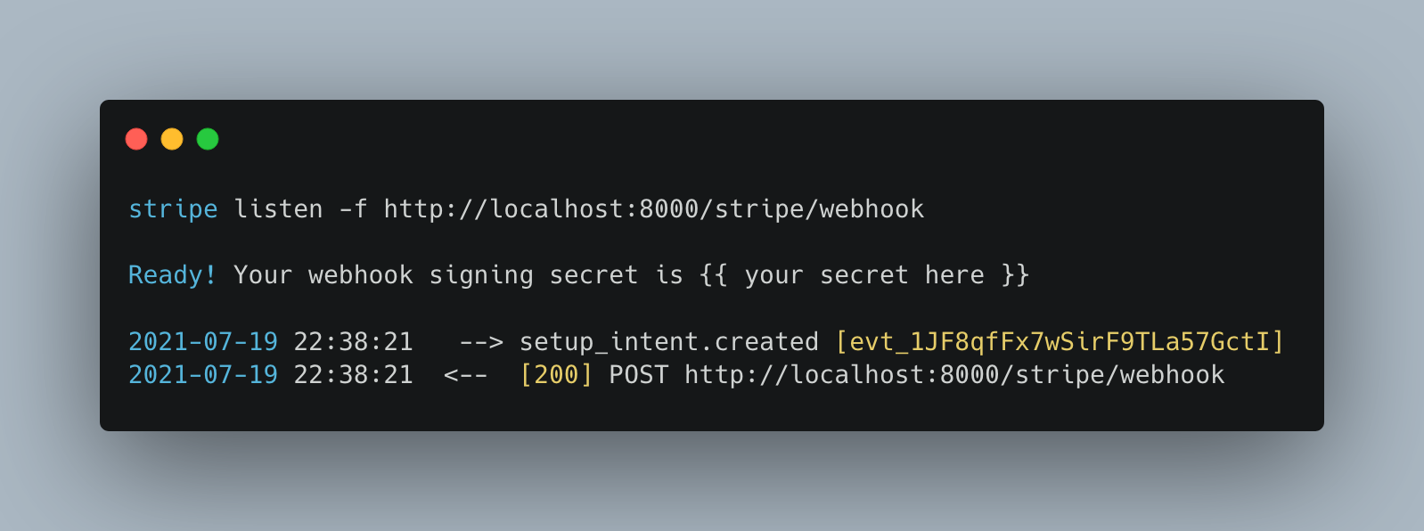 stripe webhook cli example